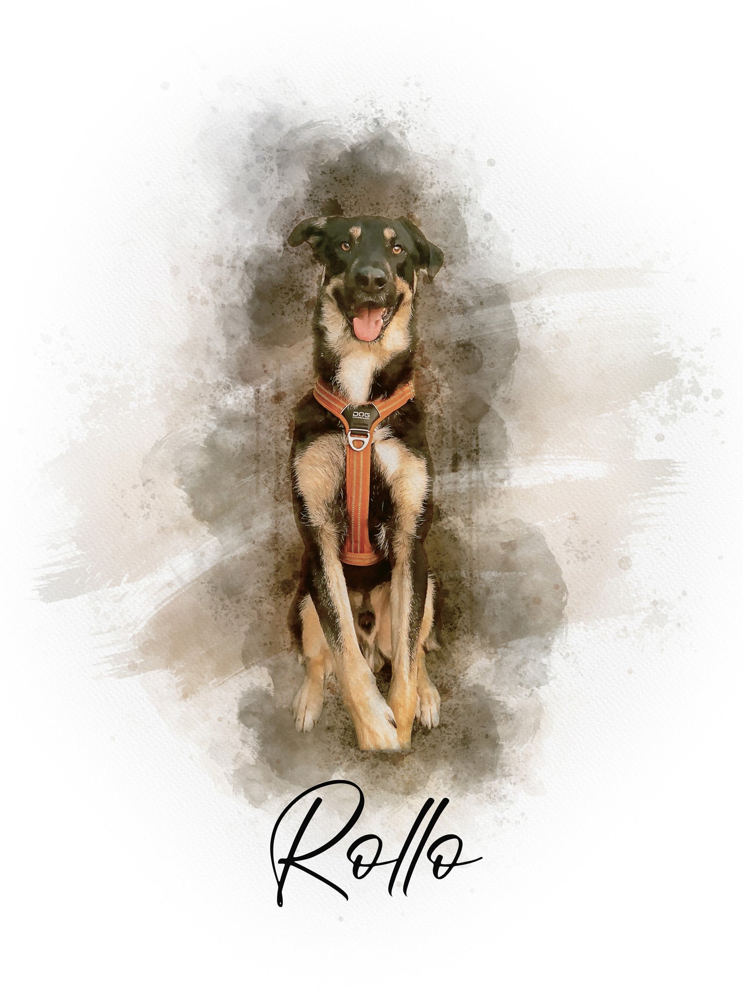 Huisdierportret Waterverf Animal Portrait